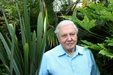 National treasure David Attenborough continues to rake in millions despite now being 99