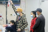 New pandemic fears as swine flu strain found in ferrets mutates to hit humans in China