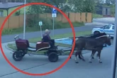 Drunk fella rolls up at police station in horse and cart after drink-driving ban