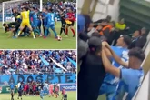 Seven red cards in mass brawl then cops use tear gas to stop dressing room fight