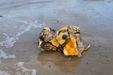 Dangerous toxic blobs wash up on UK shorelines as certain group warned to stay away