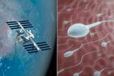 Scientists send human sperm into space in bid to test chances of populating Mars