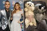 Robbie Williams and wife Ayda Field 'heartbroken' as they announce two family deaths