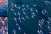 Thousands of naked swimmers run into chilly waters in mass skinny dip for winter solstice