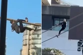 Idiotic daredevil charged after 'ridiculous' Sydney Harbour stunt