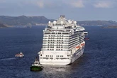 Regal Princess cruise ship tragedy as person dies after falling overboard