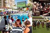 Brits sack off Cheltenham Festival to watch the racing in sunny Benidorm