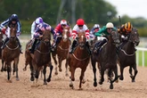 'In-form filly loves the all-weather surface' – Jason Heavey's Monday racing tips