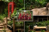 I’m A Celeb campmates to face ‘toughest camp ever’ as ITV unveils brutal twist