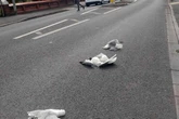 Seagulls maimed by psychos luring birds to their death in 'Hansel and Gretel' executions