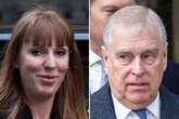 Angela Rayner called Prince Andrew a 'nonce' – but what does it mean?