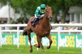 'He was so unlucky at Royal Ascot' – Jason Heavey's Saturday tips for the July Cup and five other meetings