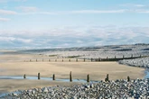 BREAKING Human leg washes up on UK beach in 'very graphic' incident