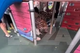 Fuming mum screams 'I will kill you' to child who 'offended her daughter in a playground'