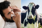 Fears grow of new pandemic as suspicious virus starts spreading in China