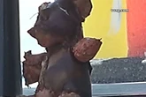 Man arrested for leaving teddy bear feared to be wrapped in human flesh at petrol station