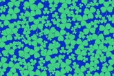 Most Brits can't spot four-leaf clover in 15 seconds - are you in the genius 10%?