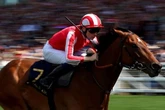 Horse racing fans up in arms as top jockey is slapped with harsh 18-day ban