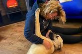 Emmerdale star wears necklace made of dead dog's chest hair in touching tribute