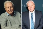 David Attenborough scrapped documentary on humans for one very cheeky reason