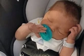 Horror as one-week-old baby mauled to death by husky-pit bull mix at home