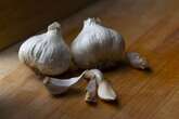 Experts reveal the worst place to store garlic and how it affects its flavour