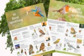 FREE DK Bird Spotting guides inside this weekend's Daily Star