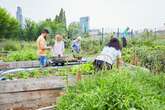 Community gardens seen as solution to UK's mental health and cost-of-living crises