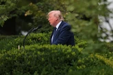 Confused Donald Trump hides in shrubbery after calling rap star Nicki Minaj 'so hot'