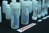 Inside bizarre £500-a-pop 'Pokemon' spider smuggling craze sweeping UK