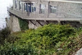 Invasive species taking over UK seaside town - and it could kill house prices