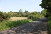 Dogging hotspot to get warning signs ahead of crematorium plan after broad daylight romps