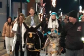 Unholy uproar over donkeys leads to fears for future of Christmas Nativity event
