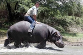 Farmer who trusted pet hippo, Humphrey 'with his heart' paid the ultimate price
