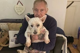 Dog to be destroyed after gruesome attack outside Tesco left pet and owner 'covered in blood'