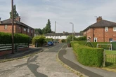 Woman in 80s in hospital with serious head injuries after being 'mauled by two dogs'