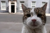 GB News halted for major breaking news – and it's huge for Downing Street