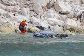 Bus driver and frail wife plunge 300ft off cliff in Ford Mondeo with beloved dogs