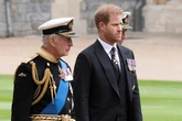 Prince Harry's 'naive' move after Charles reunion 'set alarm bells ringing at Palace'