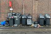 'We're living in a plague of rats and foxes - the council won't empty our bins'