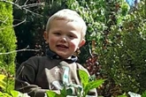 Mum told 999 son, 3, had been 'ripped to pieces' after dog attack at farm