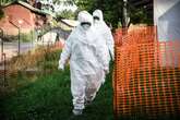 Mystery deadly disease with 'really worrying' 419 cases already is not Ebola