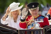 Lip reader's take on King Charles' chat with Camilla about Harry 'issue' at Trooping