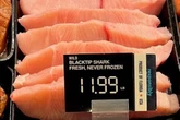 Meat from 'critically endangered' sharks being sold in supermarkets