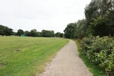 Woman killed by falling tree branch 'in front of child' at popular UK park