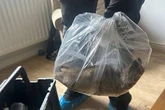 UK's 'biggest rat' found in home as council warns 'they'll keep multiplying'