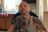 Man forced to 'choke own rescue dog to death' to end 45-minute horror mauling