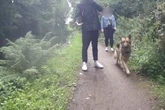 Dog walker who 'pushed cyclist into canal' speaks out about reason he did it