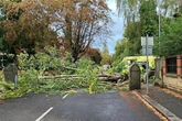 Woman dies after being hit by falling tree branch on busy south Manchester road