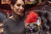 Inside incredible 'satanic dream' house for sale for £140k – and it's perfect for Halloween
